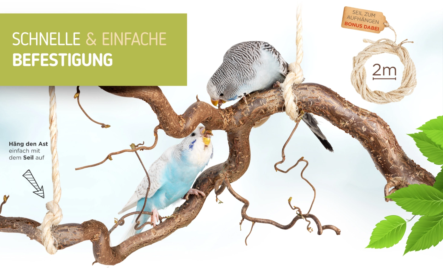 Bird Branches photo 13